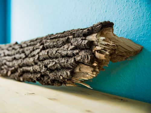 Ein Baumstammsegment liegt zur Dekoration auf einem Sideboard in einem Behandlungsraum